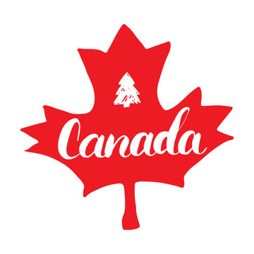 Canada Hand drawn Maple leaf with calligraphy lettering vector illustration isolated on white background.