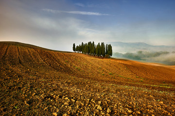 Rolling hills and green fields on sunset. Tuscany Italy, Europe - obrazy, fototapety, plakaty