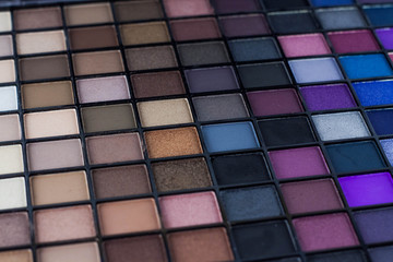 palette with shades of makeup
