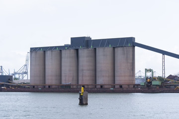 rotterdam bulk terminal