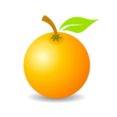 Tropical orange fruit vector icon