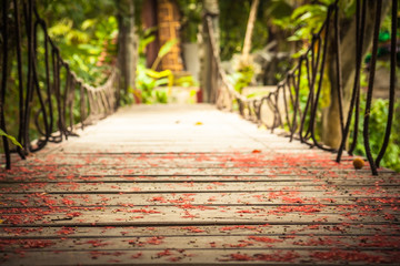 Wooden bridge leading into tropical forest with light at the end of way and blurred background