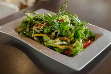 Mix green salad on horizontal white plate