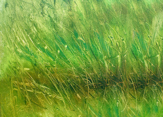 wild meadow grass structure in bright green tones, painting detail.