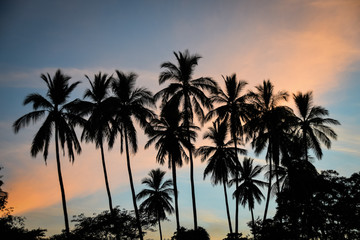 Fototapeta na wymiar Idyllic tropical sunset with palm trees silhouettes, Guanacaste, Costa Rica