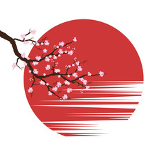 Cherry blossoms on sunset background. Japan sakura spring. Vector illustration on white background. © sanchesnet1