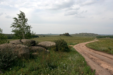 The steppe landscape with the way, the rocks and the tree on the cloudy windy day in Altai region,...