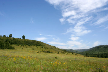 The Altai mountains near the Belaya river on the summer sunny day.