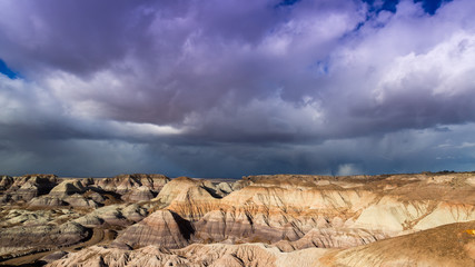 The Petrified Forest National Park in Arizona.