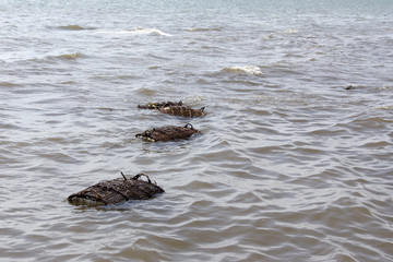 Crustacean nets in the sea