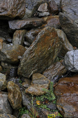 Fototapeta na wymiar feuchte steine im oberen stubai tal