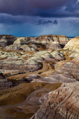The Petrified Forest National Park in Arizona.