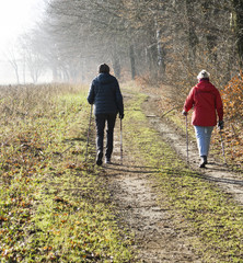 Two seniors practicing Nordic Walking in a forest