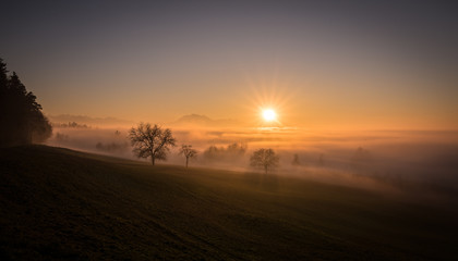 Abendnebel