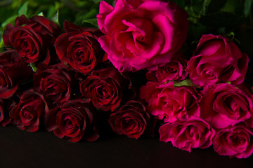 Red and pink rose