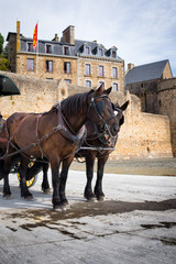 Naklejka na ściany i meble Panoramic view on Mont-Saint-Michel and a road to Abbey with horse coach , France