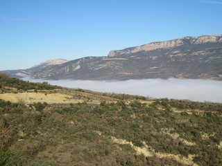 Campos con niebla entremedio