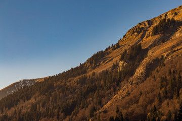 Autumn colored trees on a mountain side