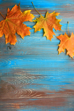 Colorful autumn leaves on blue and brown wooden background