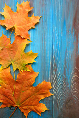 Colorful autumn leaves on blue and brown wooden background
