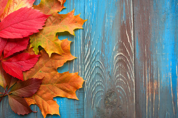 Colorful autumn leaves on blue and brown wooden background