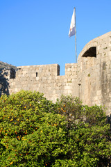 Orange tree in front of medieval walls of Dubrovnik, Croatia. Pile Gate, main entrance to the Old Town with flag of Dubrovnik. Dubrovnik is popular tourist destination and UNESCO World Heritage Site.