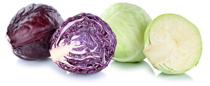 Wei&szlig;kohl und Blaukraut Wei&szlig;kraut Rotkohl Kraut Kohl frisch ges