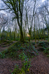 Luxulyan valley near st austell cornwall uk