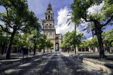The Belfry of the Mosque. tower of the belfry that is placed inside the enclosure of the Mosque Cathedral of Cordoba                                                                          