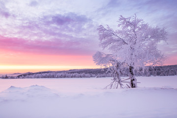 Sunrise over a cold winter landscape with beautiful illuminated clouds