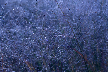 Abstract water drops background
