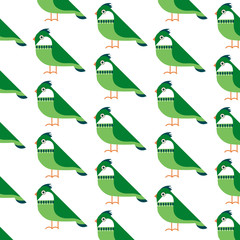 birds pattern