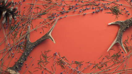 dry branches and horns arranged on a red background