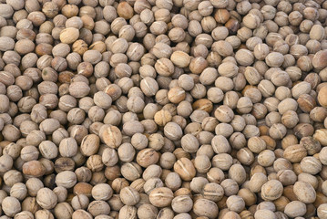 Walnuts background, texture of nuts. (Juglans regia)