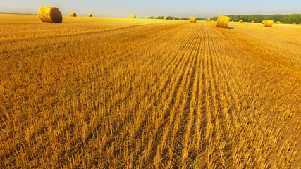 Aerial view of yellow field with haystacks after the harvest - 135374288
