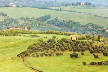 Green Tuscany landscape