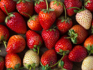 Fresh strawberry