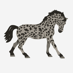 Fototapeta premium Horse profile vector