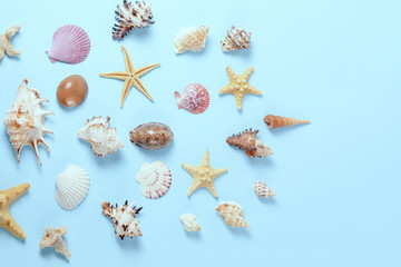 Plenty of different seashells on a blue background. Seaside themed background for travel agency template advertising or postcard. Top view vintage toned still life.