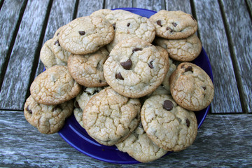 Big plate of chocolate chip cookies