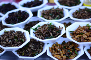 fried insects,Thailand street food