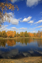 Obraz premium Pond in the autumn park in a sunny day