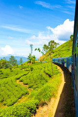 Sri Lanka Tea Plantation Hill Country Train Ride V