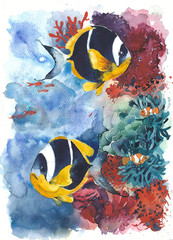 Fototapeta na wymiar Tropical fishes watercolor painting illustration 