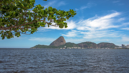 View of green tree and Guanabara Bay at the sunny day with Sugarloaf Mountain in the background,...