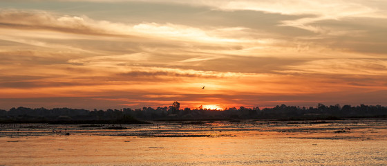 lagoon in the evenings