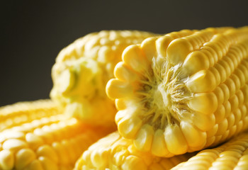 Fresh sweet corn, closeup
