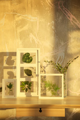White frames with green leaves on wooden table