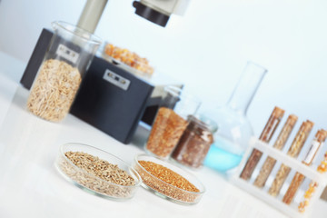Fototapeta na wymiar Food laboratory. Test for pesticides in seeds of agricultural plants