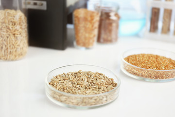 Food laboratory. Test for pesticides in seeds of agricultural plants